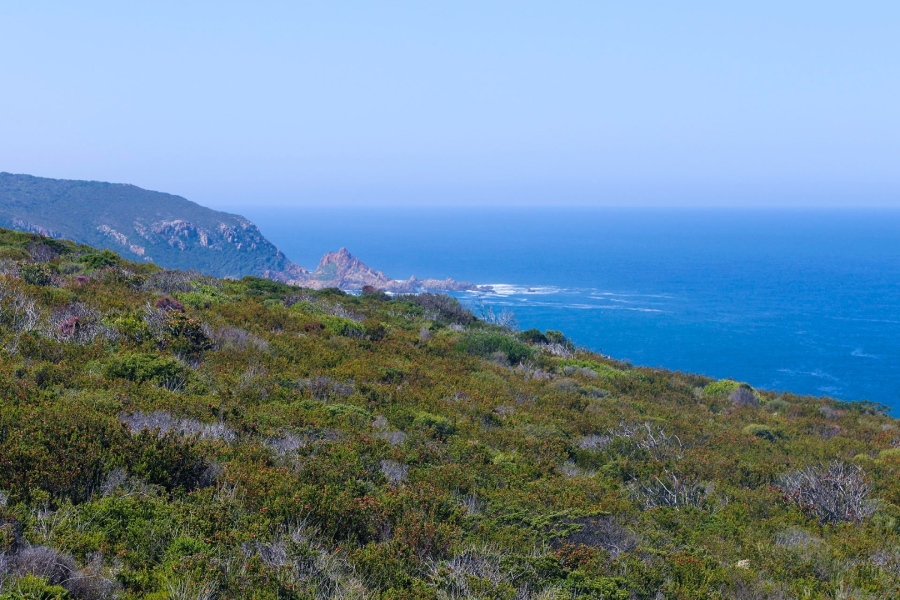 Commercial Property for Sale in Pezula Private Estate Western Cape